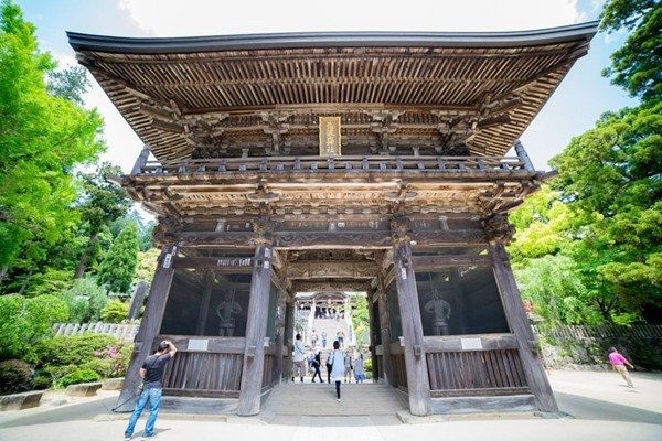 Traditional Japanese temple gate, reflecting Dr. Dodangeh’s teaching life in Japan